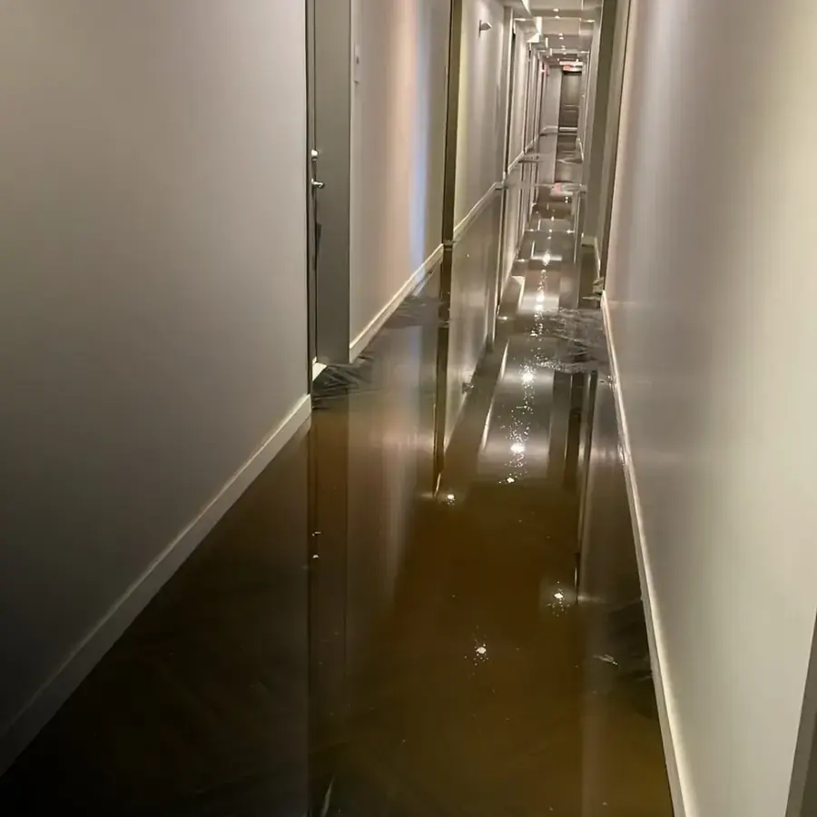 Flooded basement being pumped out in Alexandria