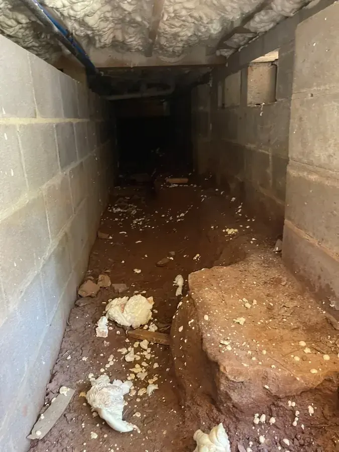 Storm flooding cleanup on a lower level